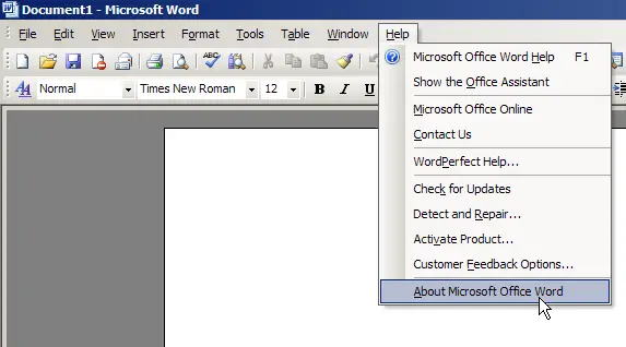 older version of microsoft office