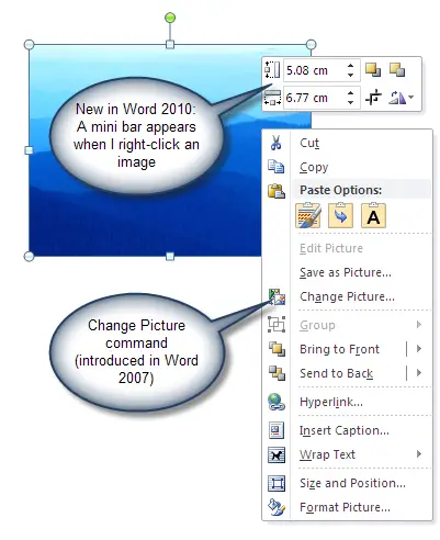 word toolbar size